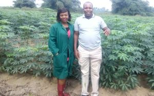 Picture of One of ATASP-1’s newly established cassava stem multiplication farms at Onne