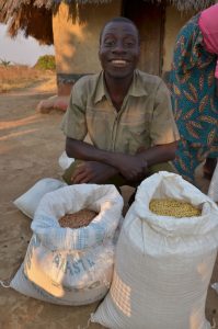 Picture of A Swaziland farmer showing part of his harvest of cowpea (left) and soybean (right) to be used as seed in the coming planting season.