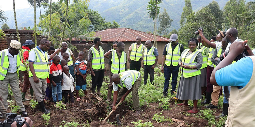 A farmer from Kasese district in Uganda demonstrating how to uproot a plant infected with BBTV