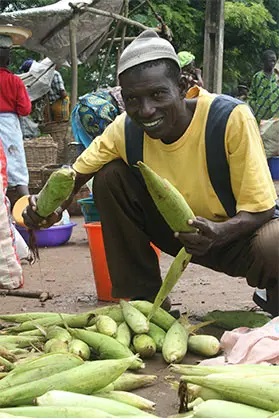 A maize farmer with his harvest.