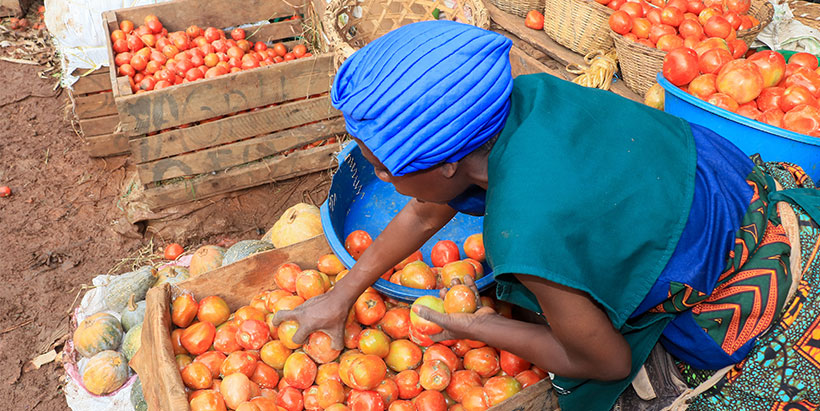 A market vendor displaying tomatoes sourced from the ENABLE-TAAT horticulture cluster in Uganda.