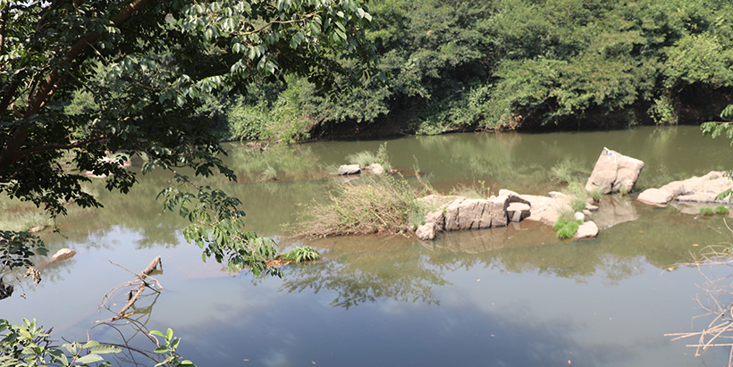 A wetland serving the Olokemeji community in southwestern Nigeria.