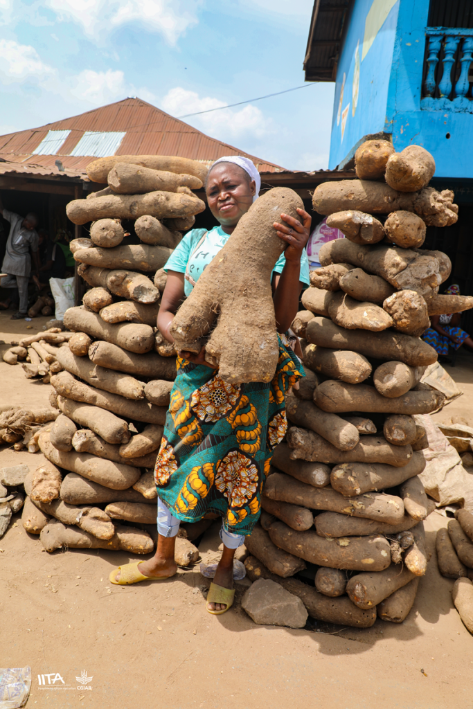 A woman yam trader at a market in Ibadan