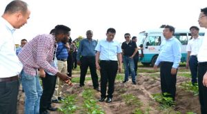 Picture of Adebayo Oluwaseun of IITA touring the Changsha delegates around the Abuja farm.