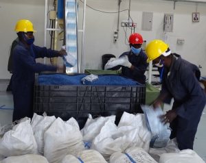 Repacking Aflasafe at the new plant.
