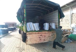 Preparing packaged Aflasafe for dispatch.