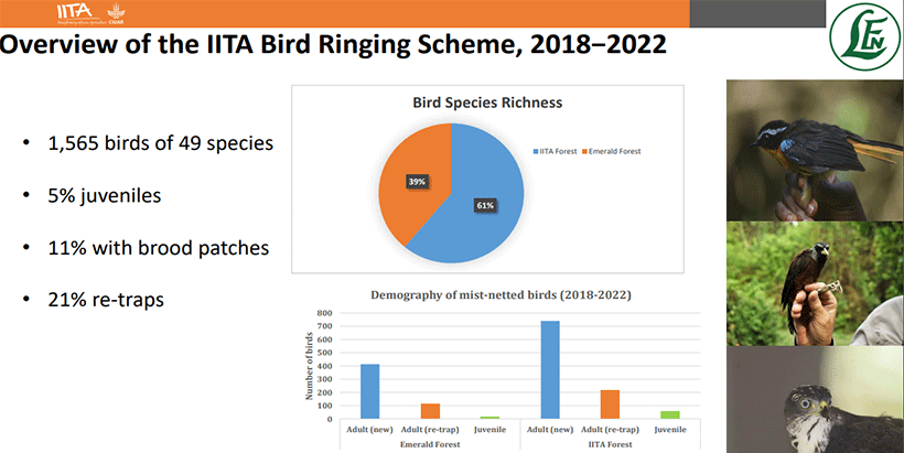 Age, sex, mass, breeding and molt are part of the data experts quantify from captured birds. (Credit: IITA Forest Center).
