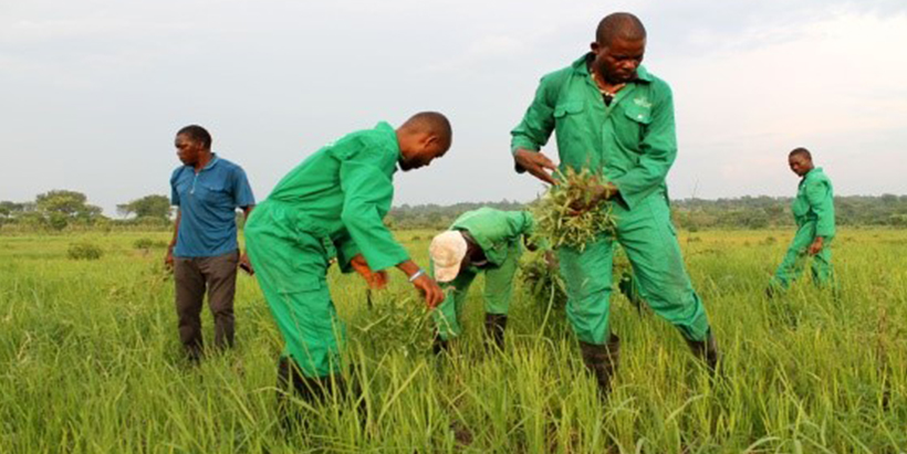 Agribusiness engagement key to poverty reduction among youth