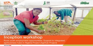 The virtual project workshop discussed strategies to actualize the project.
