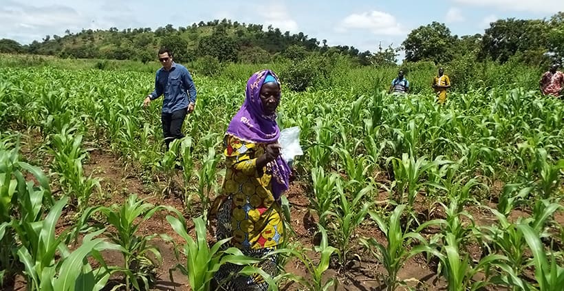 IITA scientist wins international award