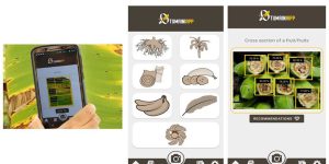 Tumaini smartphone app (v2.0; online and soon offline version) – 6 diseases and 1 pest.