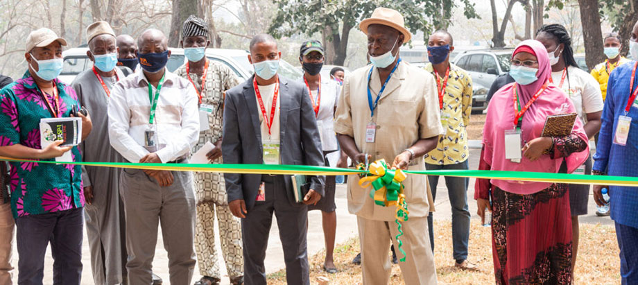 BASICS-II kicks off partnership to promote improved cassava varieties cultivation and consumption