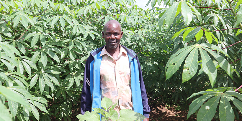BEST cassava project supports cassava transformation in Handeni District