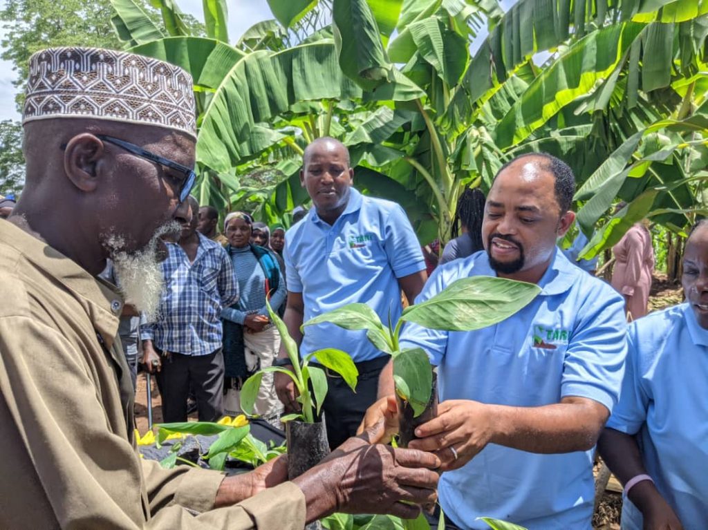 Dr Emmanuel Mgonja, Centre Manger at TARI Ifakara handing over TARIBAN plantlet to farmers in Morogoro