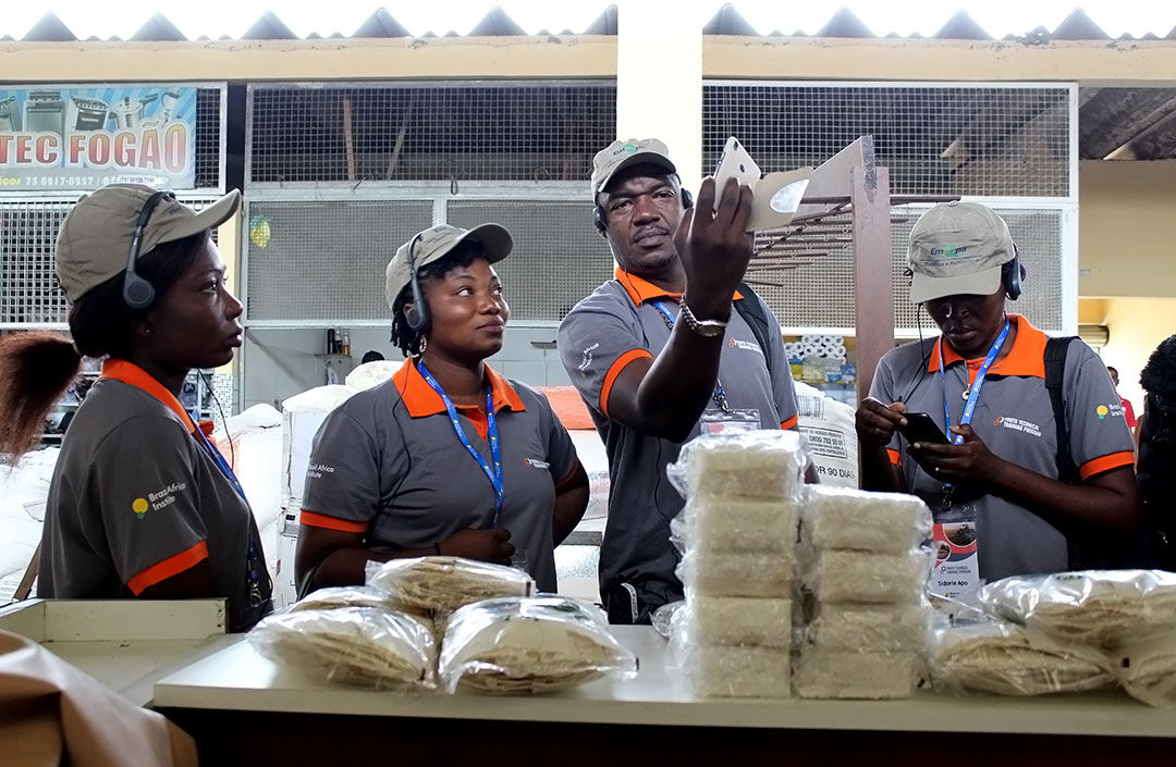 Brazil Africa Institute trains young Africans in cassava management in Bahia