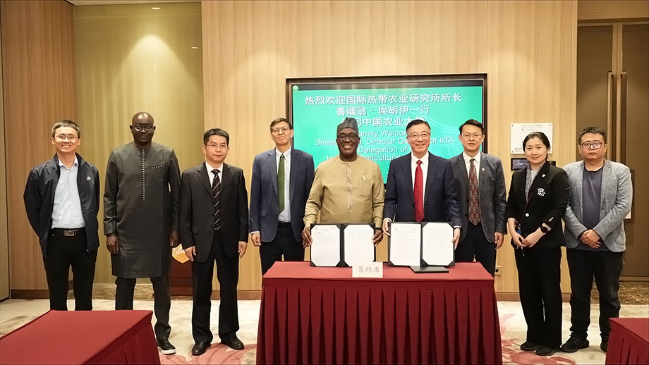IITA and China Agricultural University sign MoU to boost agricultural research and technology exchange
