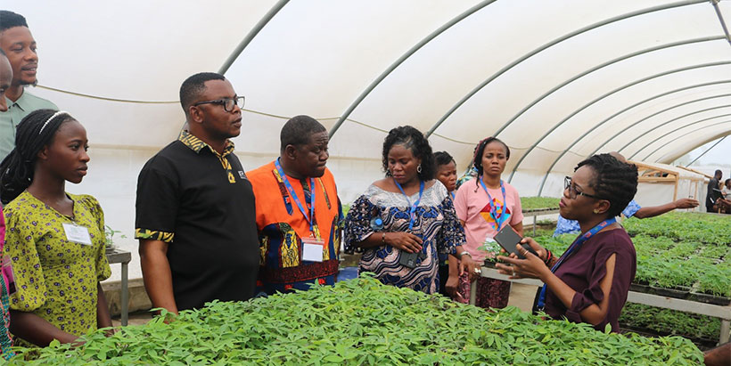 Cassava Scientist, Dr Mercy Diebiru Ojo, explaining explains the importance of cassava SAH to the participants.