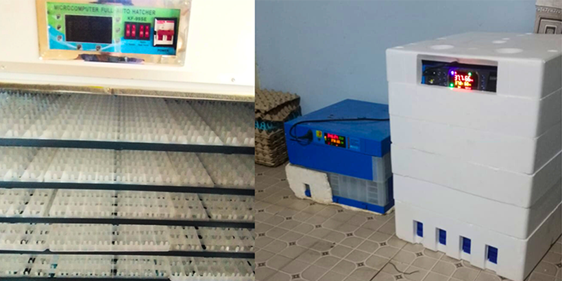 Chick hatcheries and incubators were presented to support poultry enterprises.