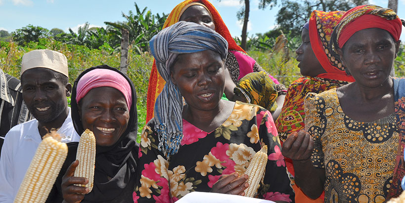 Crop innovation: Mitigating the impact of the climate crisis in Africa