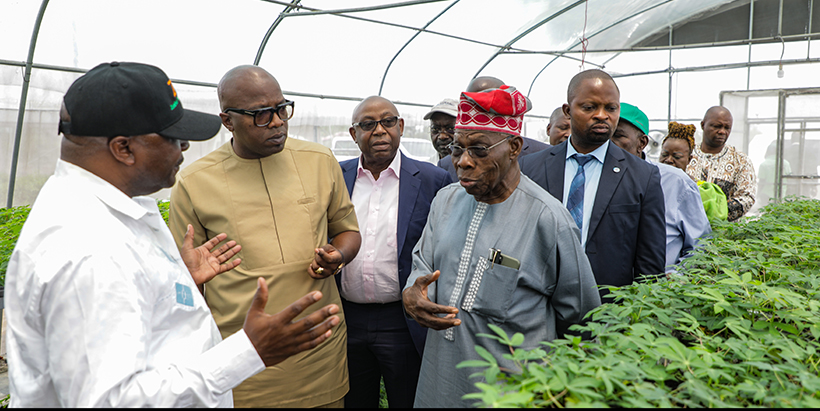 DG Nteranya Sanginga explains the technology behind SAH--semi-autotrophic hydroponics and how it can help create jobs in the cassava sector.
