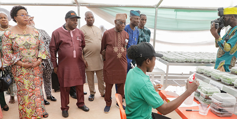 DG Sanginga and Chief Obasanjo observing cassava multiplication activities in the screenhouse