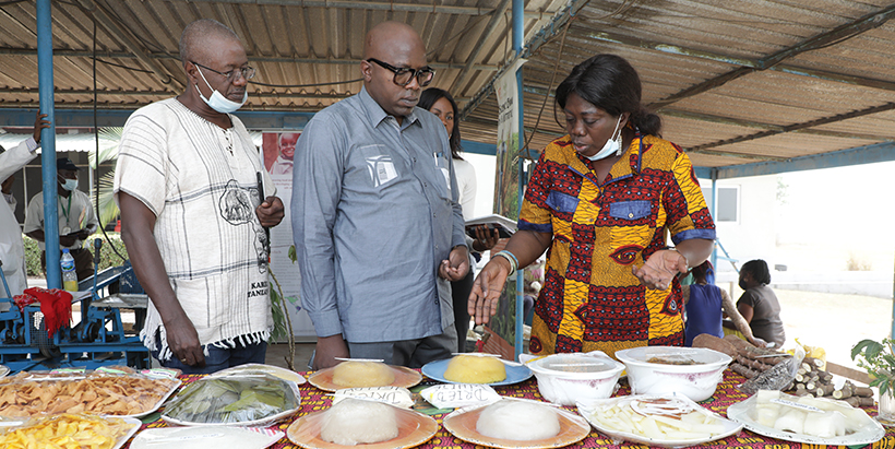 DRC to partner with IITA