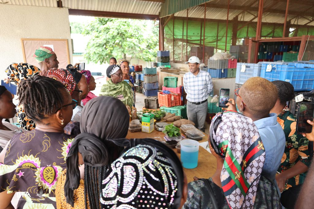 Dr Asrat Amele, Head of IITA-Yam Breeding Program briefs female farmers of the program overview , broader initiatives and impact.