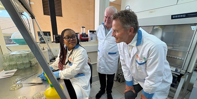 Dr Bernard Vanlauwe and the NNF Board Vice Chair, Lars Munch interacting with a PhD student in the gene editing lab.