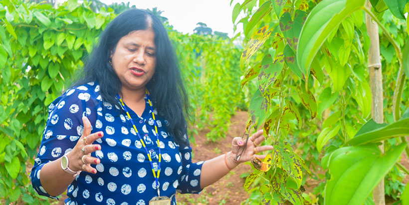 Dr Bhattacharjee on a yam trial site