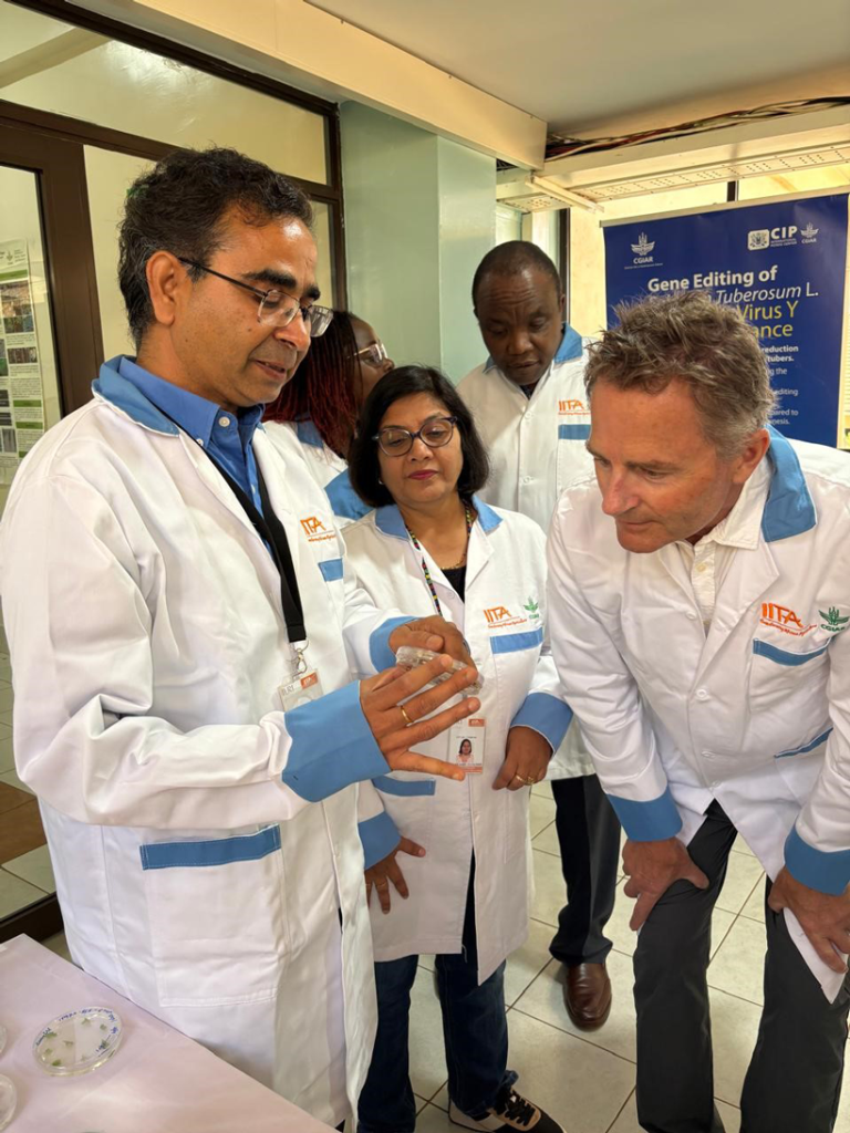 Dr Jaindra Tripathi showcasing banana cell cultures during a visit to IITA’s gene-editing lab.