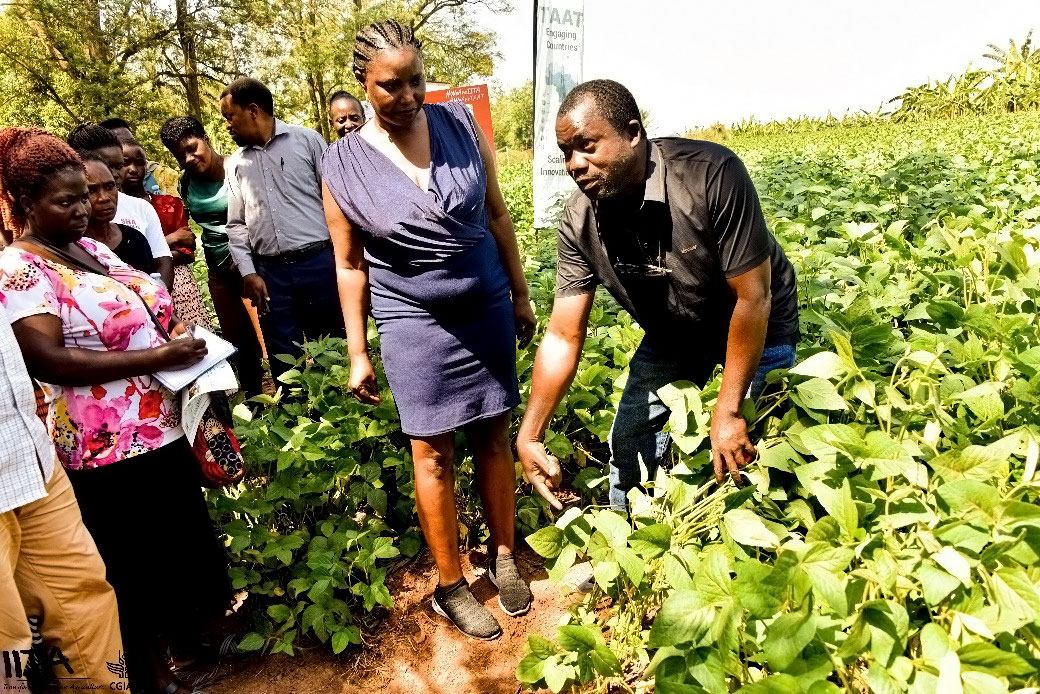 Dr Omikunle conducting a hands-on training during the field day.