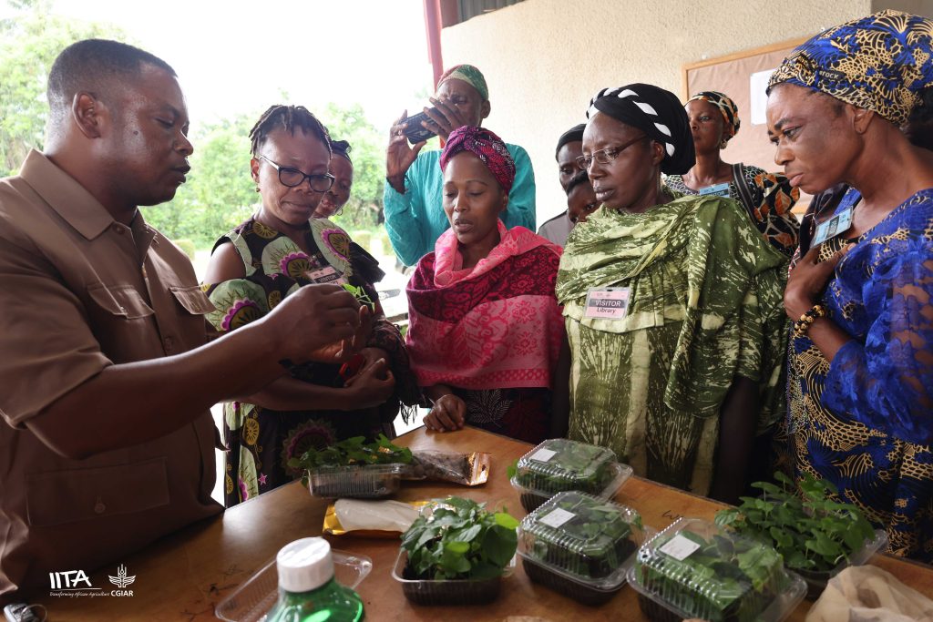 Dr Pelemo Olugboyega, Manager of Field/Seed Systems at IITA’s Yam Breeding Program, guided female farmers through the technical process of seed yam production.