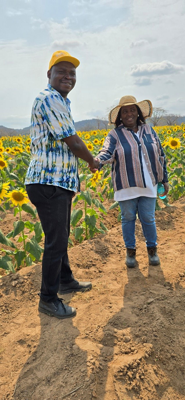 Dr Samuel Mesele with the Head of Mazozo Experimental Station on a sunflower experimental field.