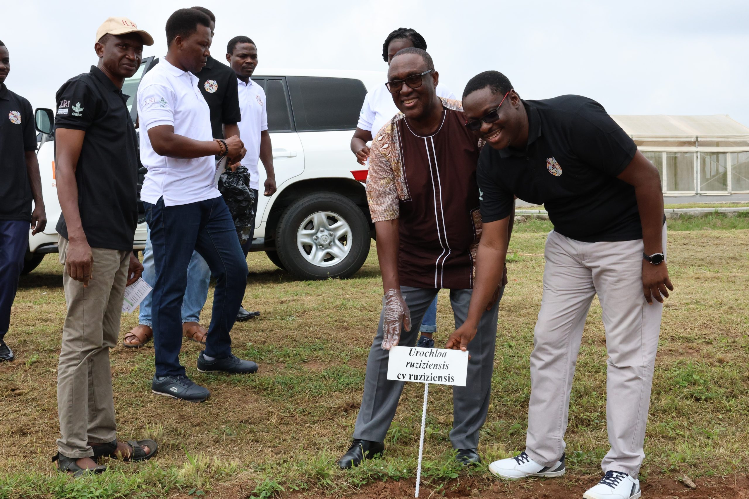 IITA Director General and CGIAR Regional Director for Continental Africa, Dr Simeon Ehui with ILRI Country Representative Dr Tunde Amole at the ILRI Forage Genetic Resources plot at IITA, Ibadan.