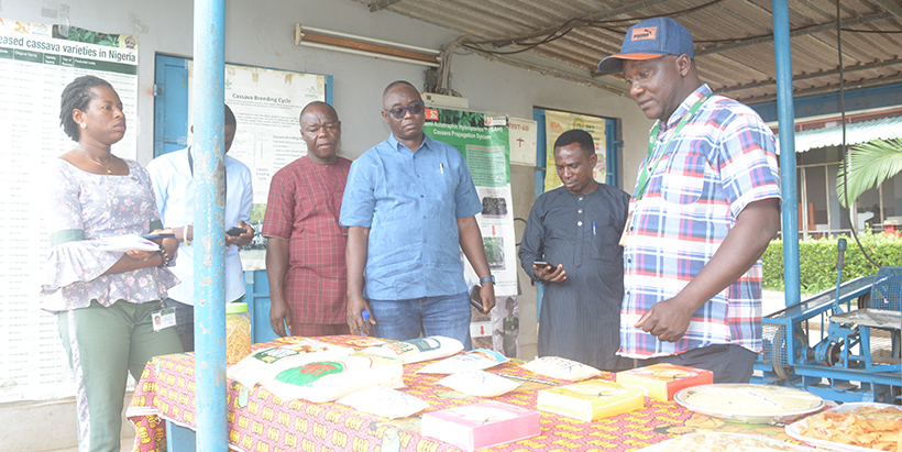 The team visiting the IITA Cassava Processing Unit.