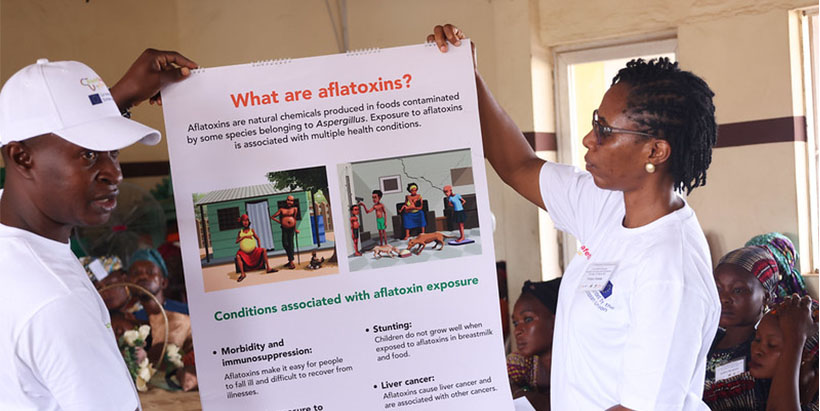 Food safety Expert Dr Titilayo Falade explaining the effect of Aflatoxins in food and human health.