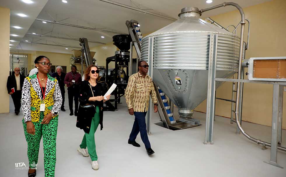 Dr. Titilayo Falade taking Dr. Ismahane Elouafi and Dr. Simeon Ehui round the Aflasafe Research and Delivery, Innovation, and Training (ARDIT) plantplant.