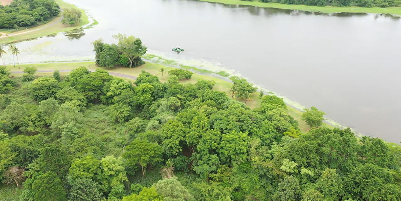 Drone view of the biodiversity-rich wetlands around the IITA Ibadan campus.