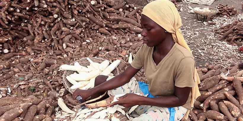 RUNRES supports circular economy entrepreneur turning cassava waste into livestock feed