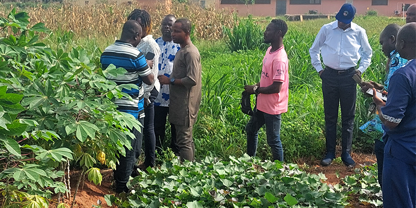 During a practical session on the use of digital tool for land measurement.