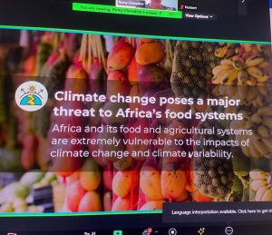 Romy Chevallier, Policy and Engagement Specialist, AICCRA, presenting on the threat climate change poses to African food systems.