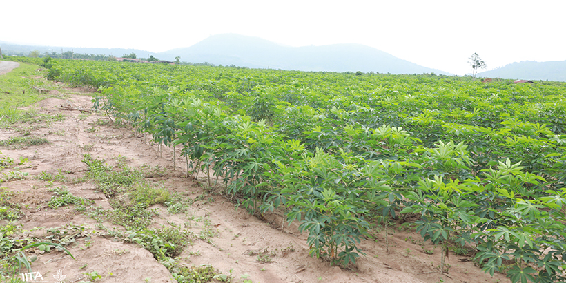 ENABLE-TAAT Open Day: Reaching out to youth and farmers in Awe