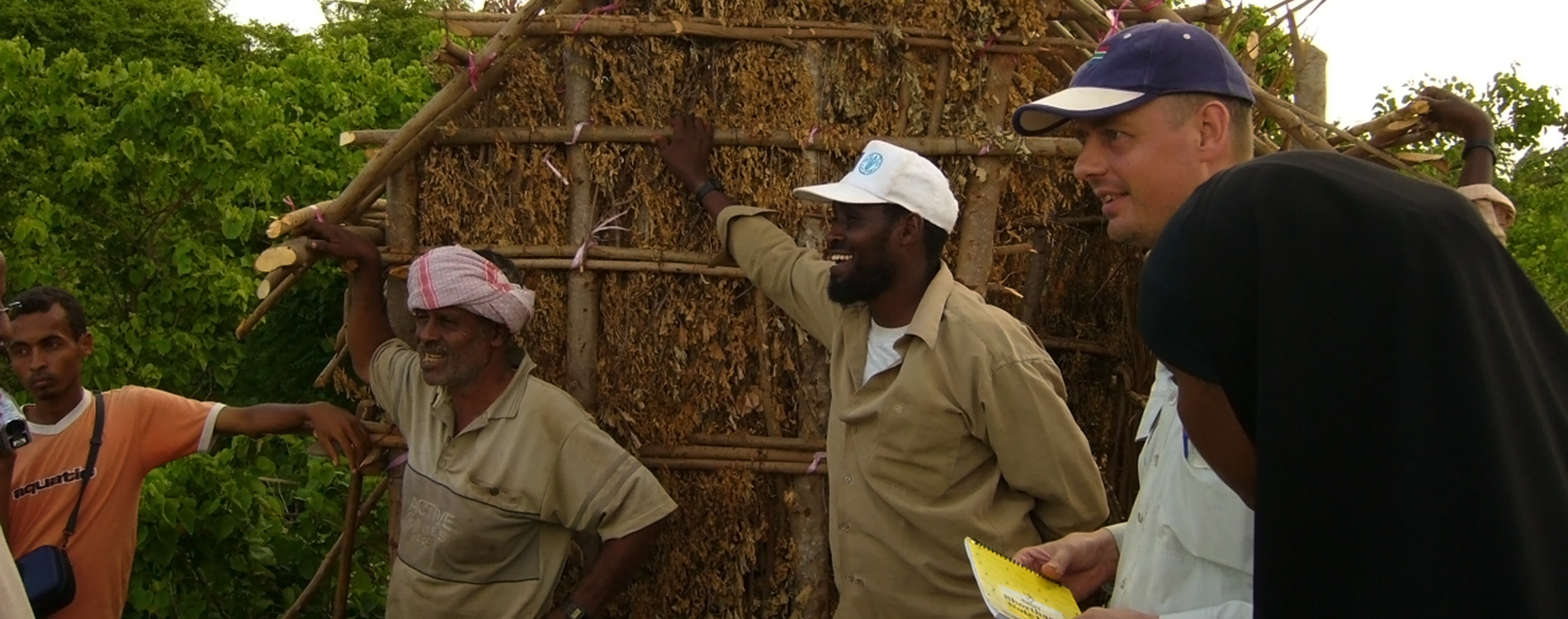 IITA joins other CGIAR centers to provide support to rebuild Somalia’s Agriculture sector
