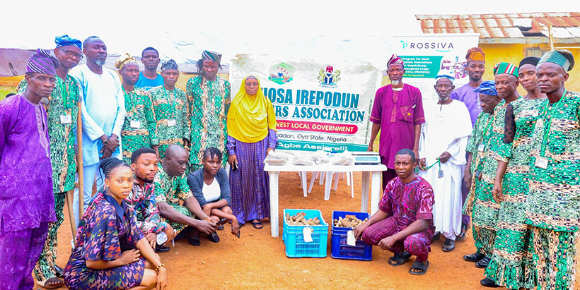 Eniosa Cooperative farmers and IITA PROSSIVA representative.