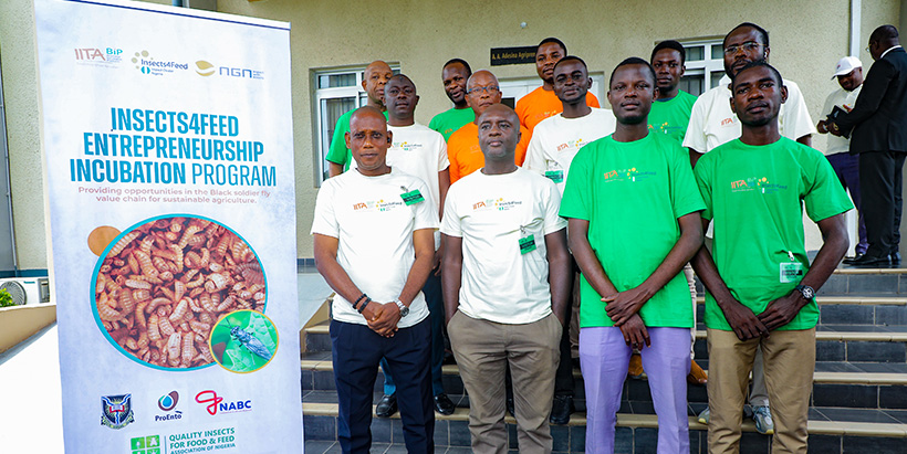 Entrepreneur-participants for the Insect4feed training program.