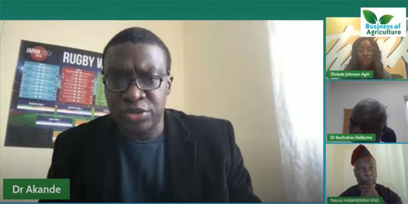 Dr Akande, sharing opportunities in agribusiness during the panel discussion.