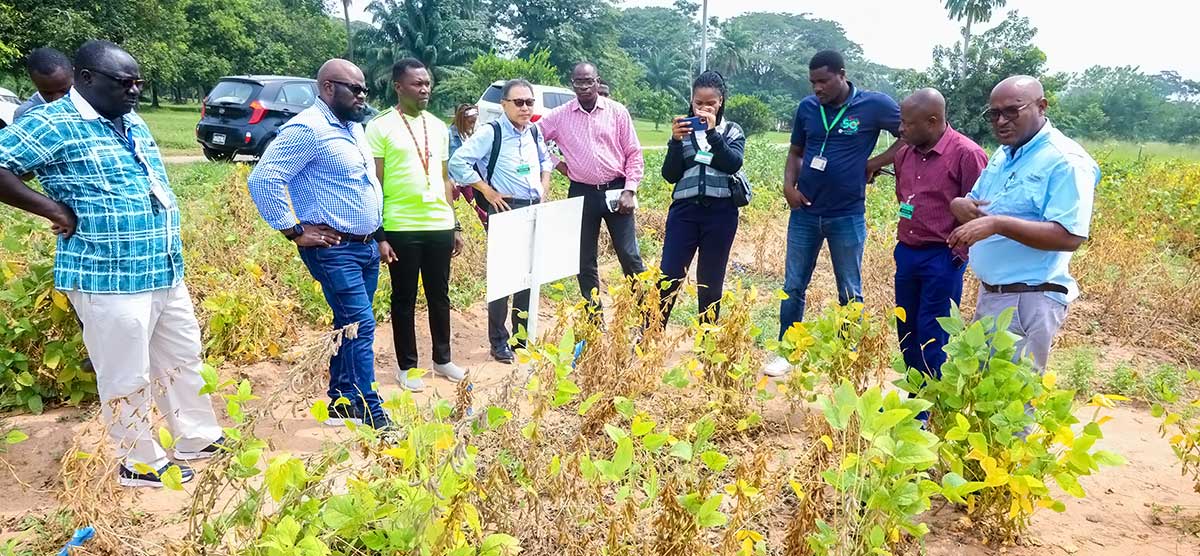 A visit to some of IITA's soybean field.