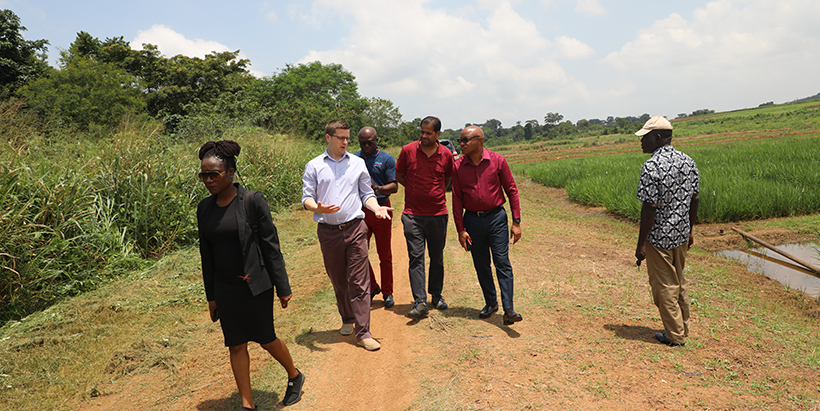 FCDO team visiting a rice trial site with AfricaRice Country Representative Dr Francis Nwilene.