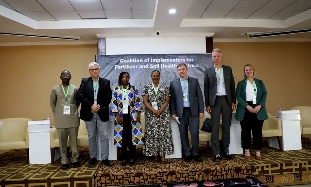 Facilitators and contributors