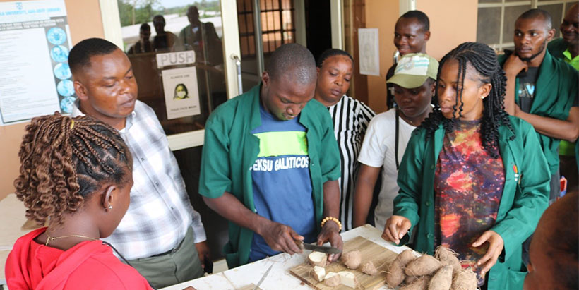 Training ABUAD farm staff and students on yam minisetts.